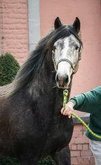 20190220-djouri-anne-06081-2.jpg