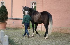 20190220-djouri-anne-06637.jpg