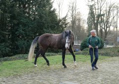 20190220-djouri-anne-06863.jpg