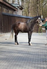 20190220-djouri-celine-00002-2.jpg