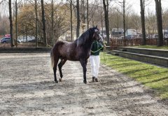 20190220-djouri-celine-00033-2.jpg