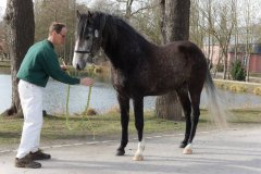 20190220-djouri-celine-00139.jpg
