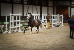20190220-djouri-celine-00177.jpg