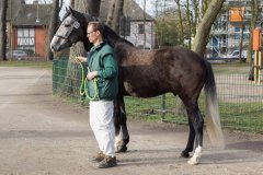 20190220-djouri-celine-00240.jpg