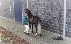 20190220-djouri-celine-00266.jpg