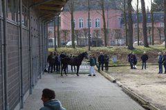 20190220-djouri-celine-00268.jpg