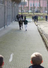 20190220-djouri-celine-00270.jpg