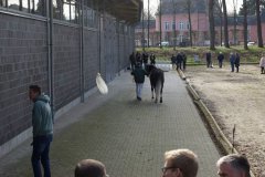 20190220-djouri-celine-00274.jpg