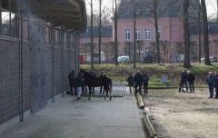 20190220-djouri-celine-00275.jpg