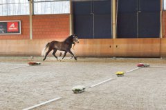 20190220-djouri-celine-00283.jpg