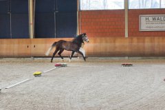 20190220-djouri-celine-00284.jpg