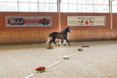 20190220-djouri-celine-00286.jpg