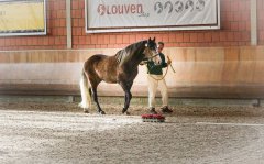 20190220-djouri-celine-00296-2.jpg