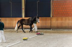 20190220-djouri-celine-00305-2.jpg