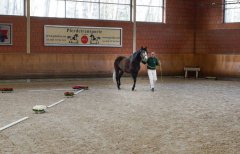 20190220-djouri-celine-00307.jpg