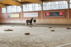 20190220-djouri-celine-00311.jpg
