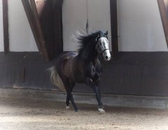 20190220-djouri-maxou-2200174.jpg