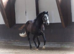 20190220-djouri-maxou-2200175.jpg