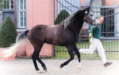 20190220-djouri-maxou-2200550.jpg