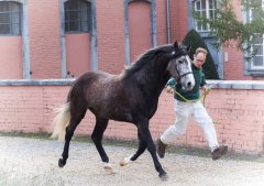 20190220-djouri-maxou-2200595.jpg