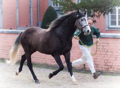 20190220-djouri-maxou-2200596.jpg