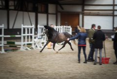 20190220-djouri-celine-00172.jpg