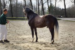 20190220-djouri-celine-00196.jpg