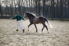 20190220-djouri-celine-00202.jpg