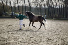 20190220-djouri-celine-00203.jpg