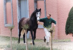 20190220-djouri-maxou-2200588.jpg