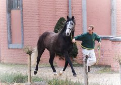 20190220-djouri-maxou-2200592.jpg